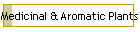 Medicinal & Aromatic Plants